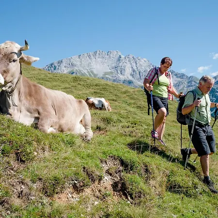 Vitaloase Zu Den Drei Brüdern 4*