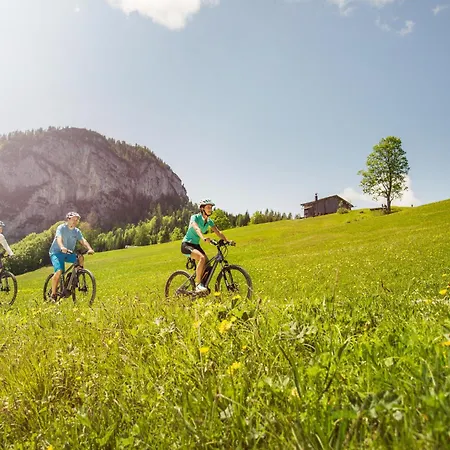 Vitaloase Zu Den Drei Brüdern