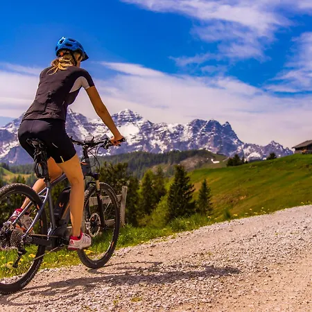 Vitaloase Zu Den Drei Bruedern מלון