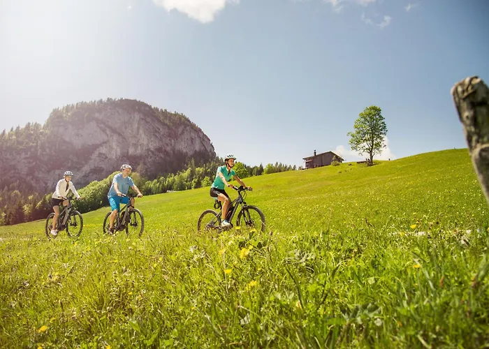Vitaloase Zu Den Drei Brudern